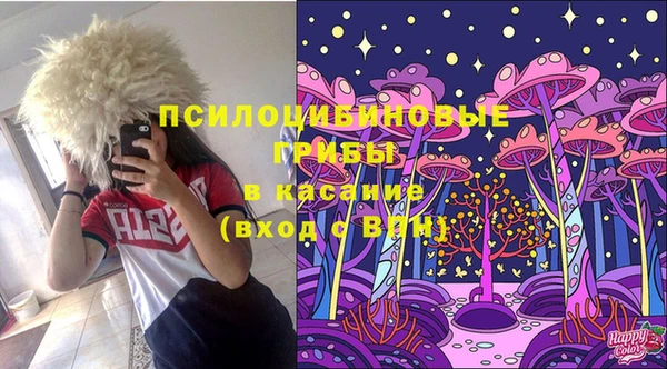 дживик Алексеевка