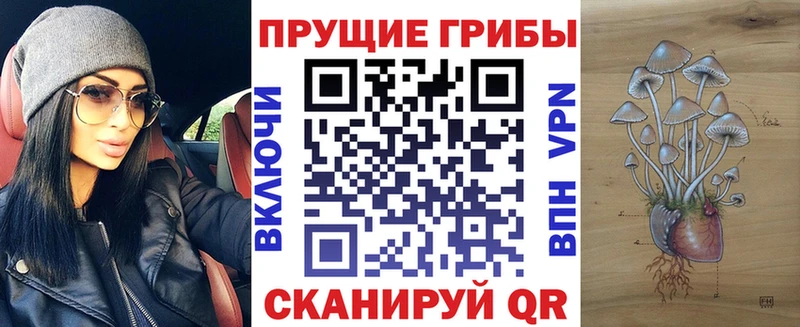 цена   Ливны  Псилоцибиновые грибы ЛСД 
