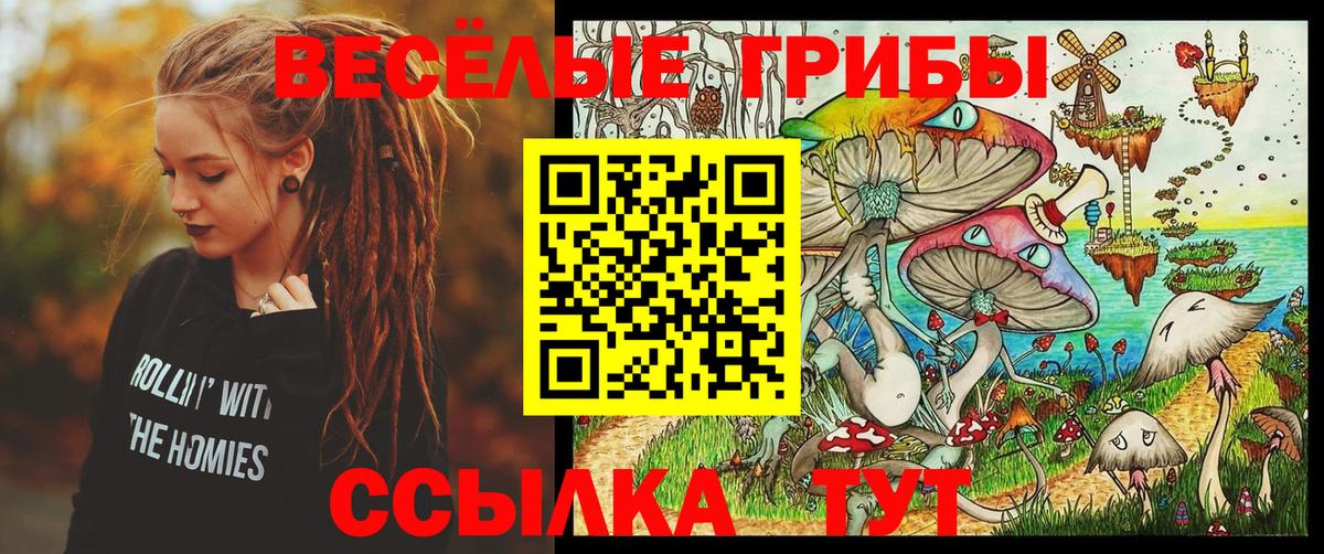 Галлюциногенные грибы MAGIC MUSHROOMS  Вход с VPN  Галлюциногенные грибы GOLDEN TEACHER  Ливны 